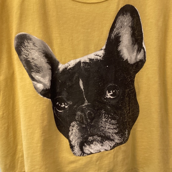 Offline by Aerie Gold cropped Oversized Graphic Shirt Bulldog Size Medium - Picture 2 of 4